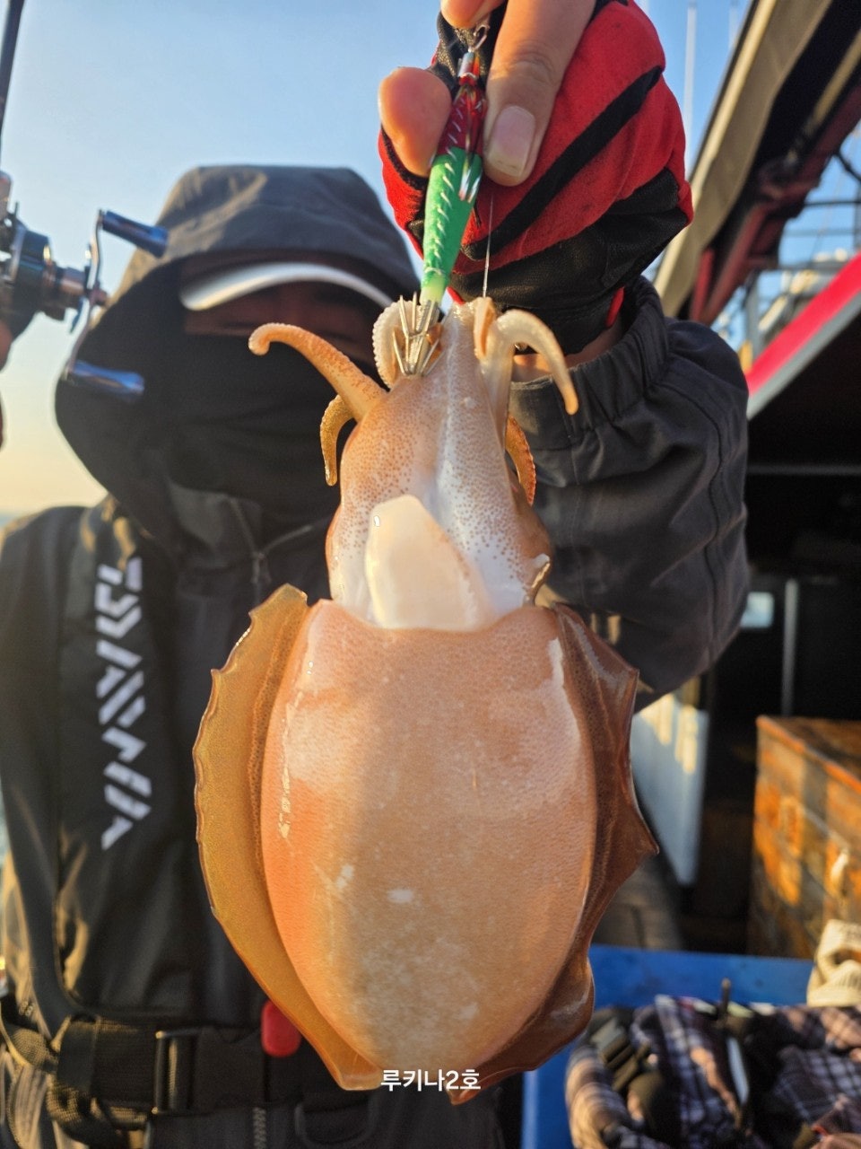 사용자가 올린 이미지