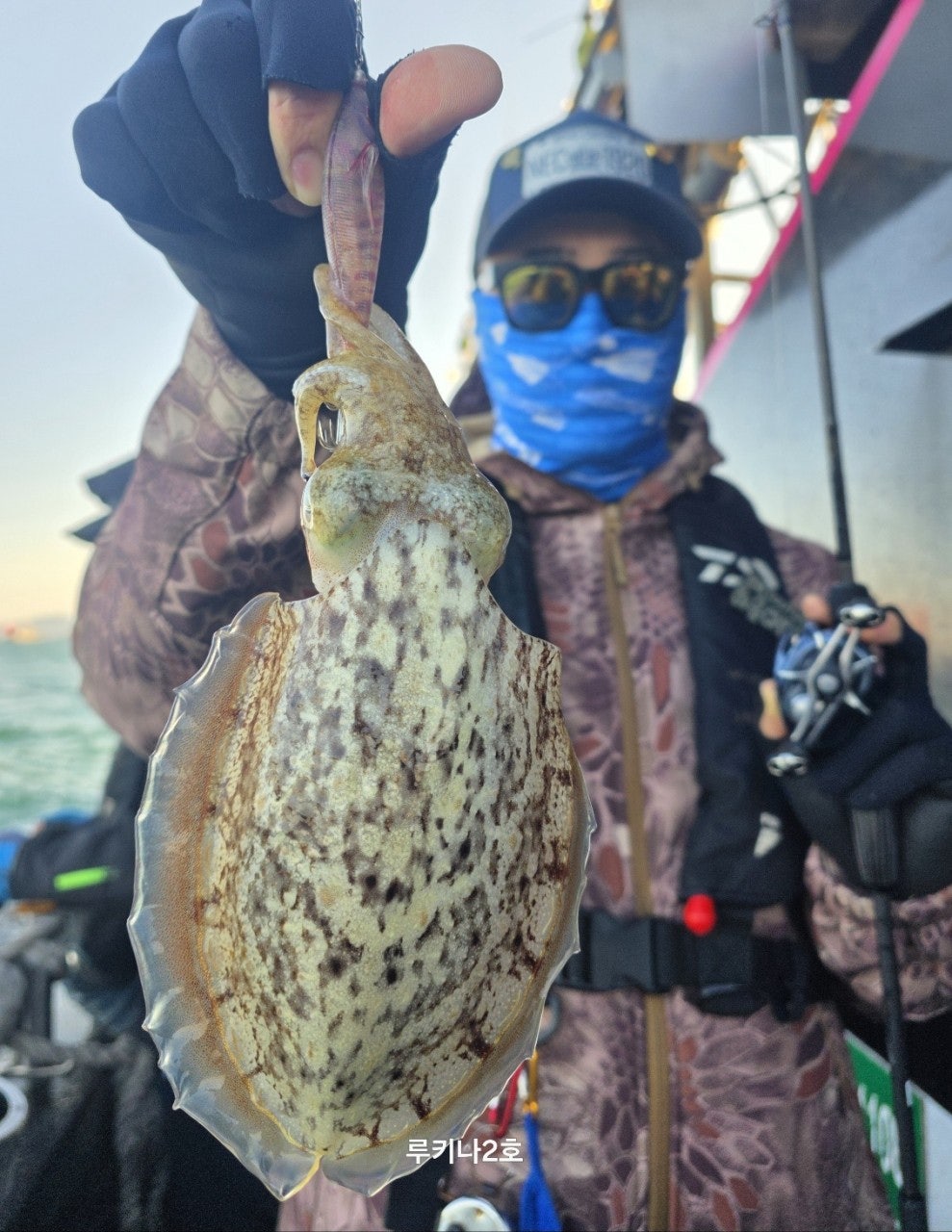 사용자가 올린 이미지