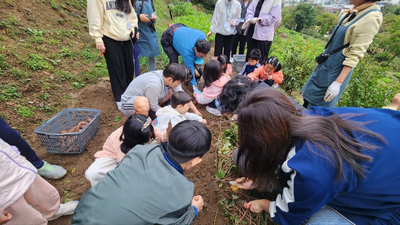사용자가 올린 이미지