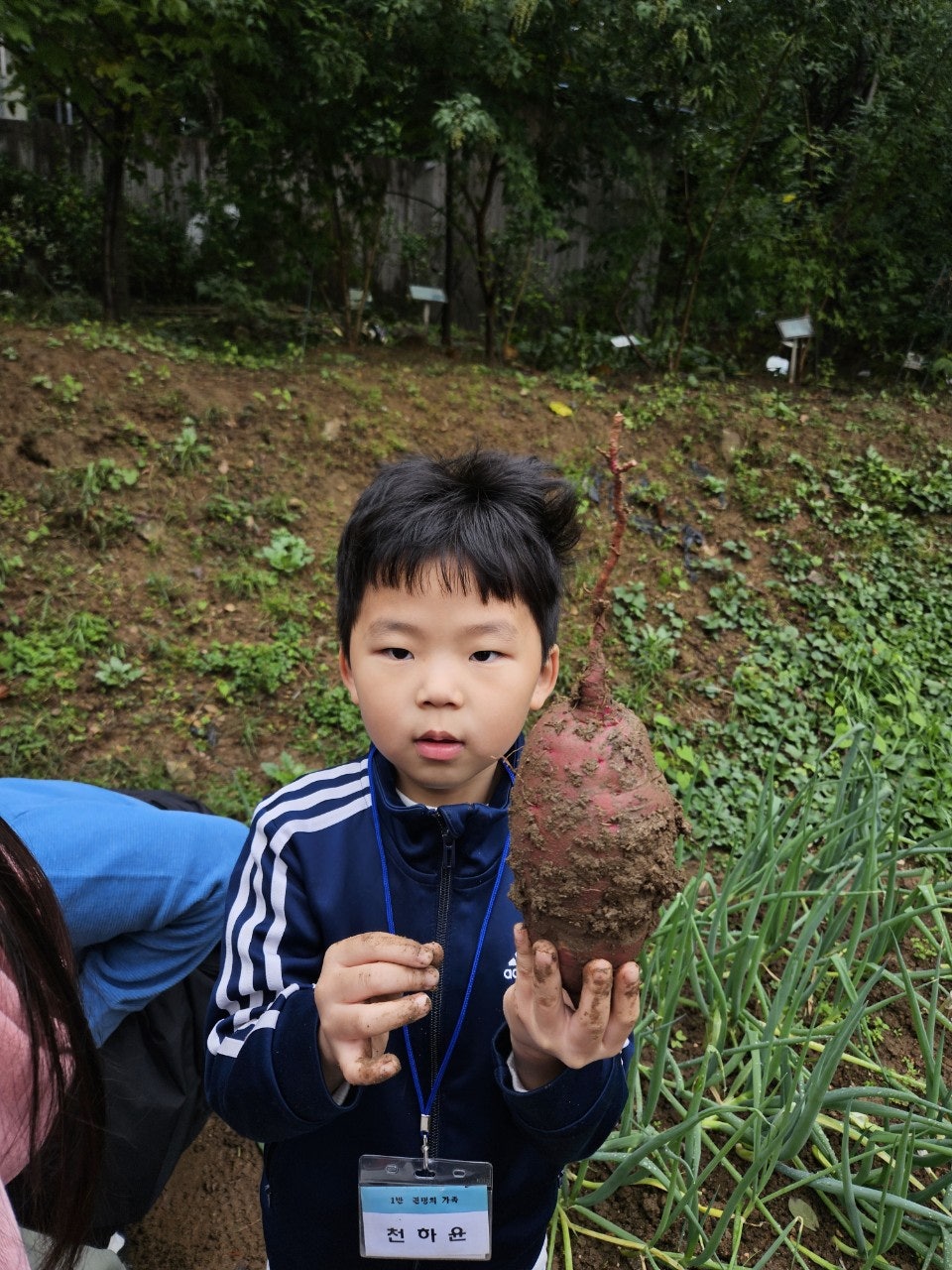 사용자가 올린 이미지