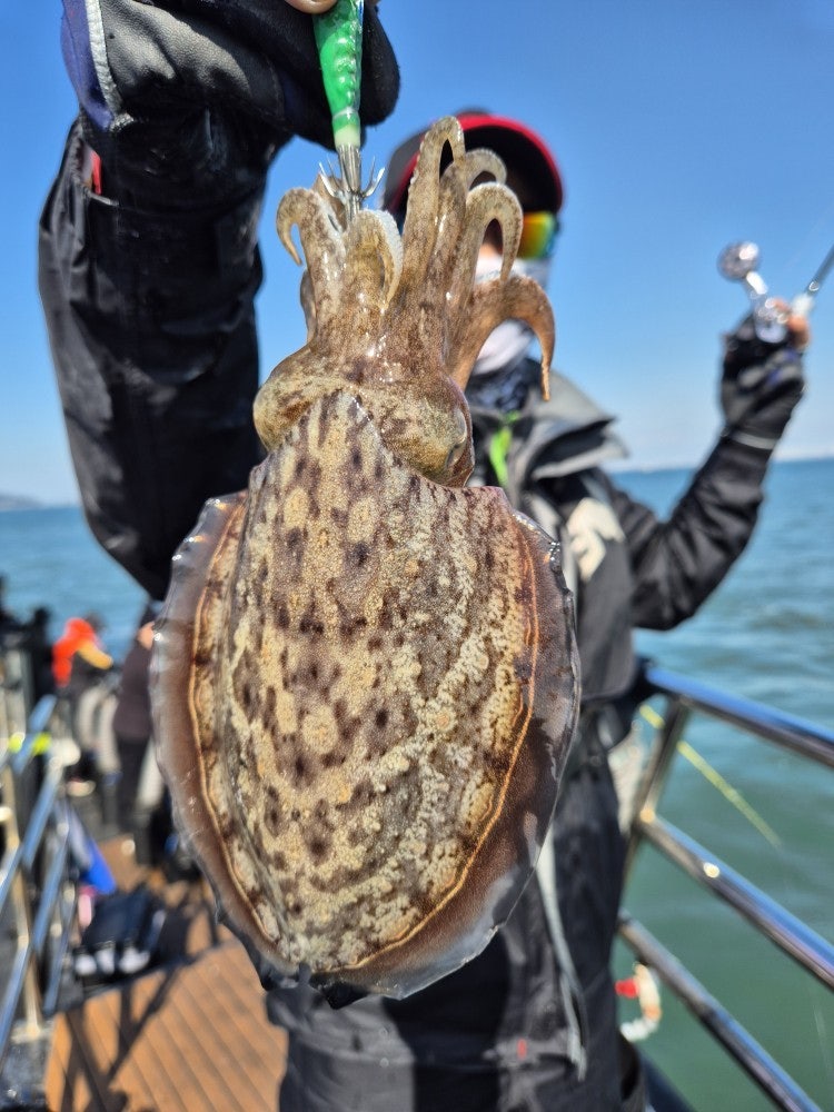 사용자가 올린 이미지