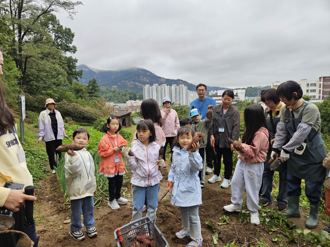 사용자가 올린 이미지