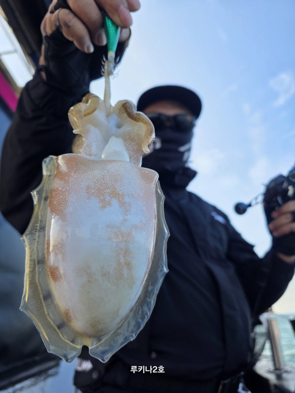 사용자가 올린 이미지