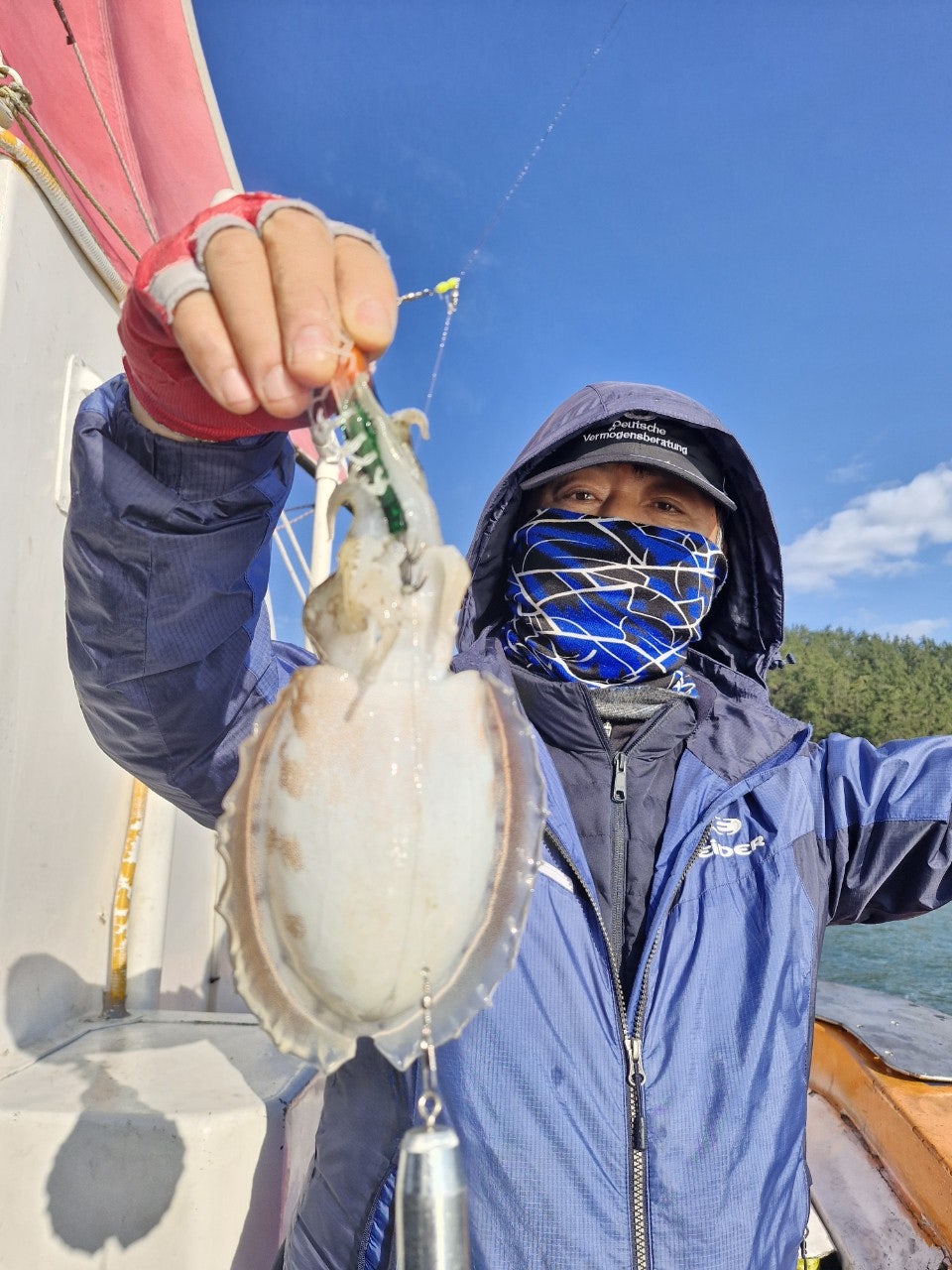 사용자가 올린 이미지