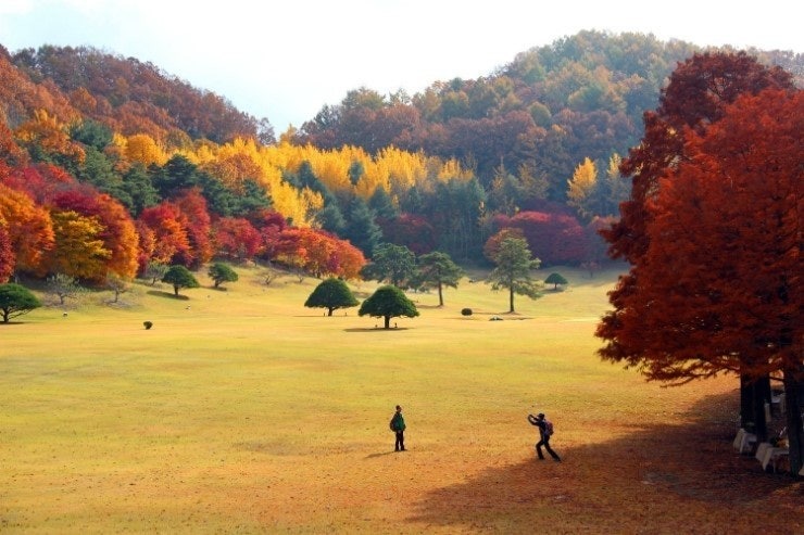 사용자가 올린 이미지
