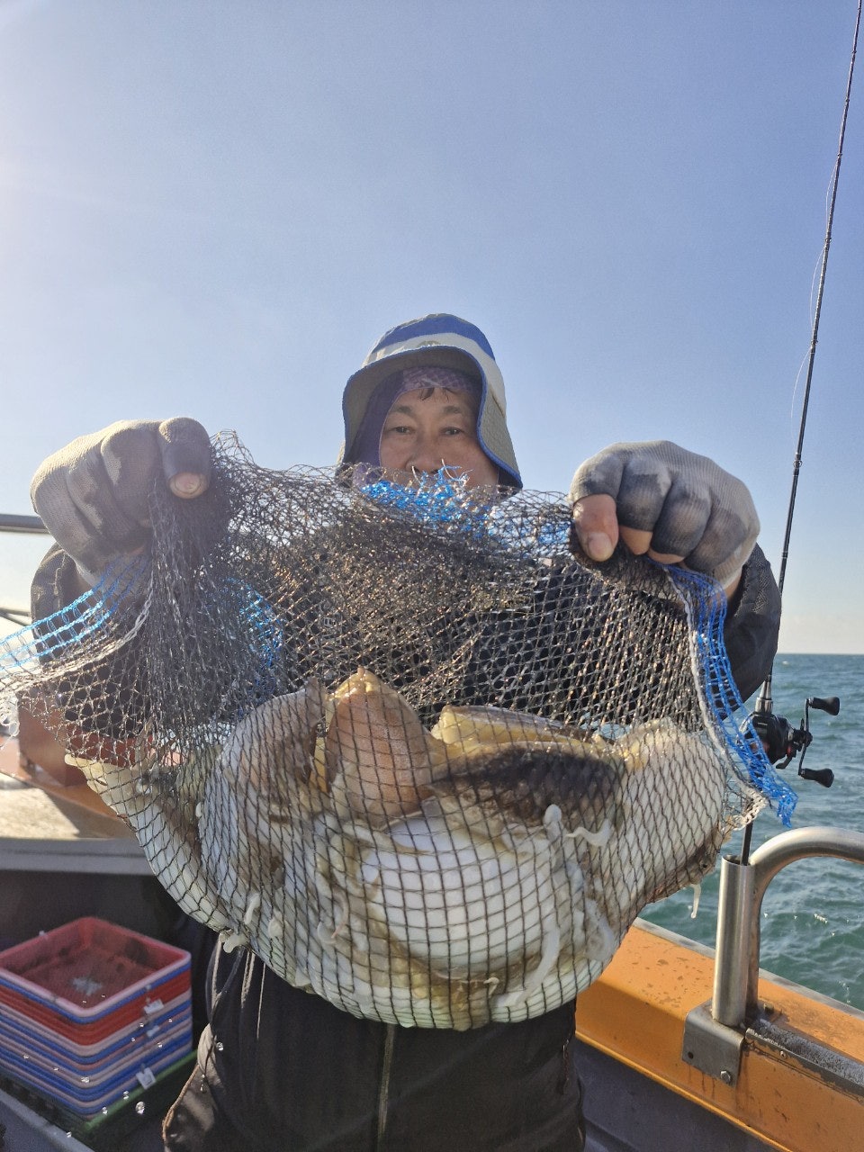 사용자가 올린 이미지