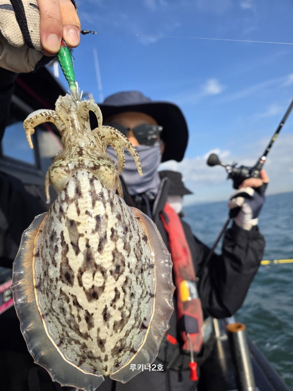 사용자가 올린 이미지