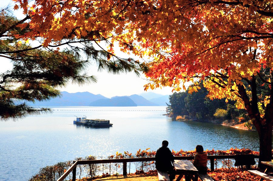 사용자가 올린 이미지