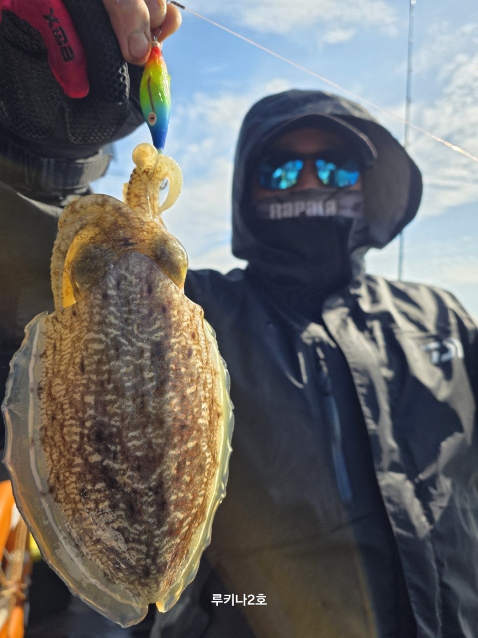 사용자가 올린 이미지