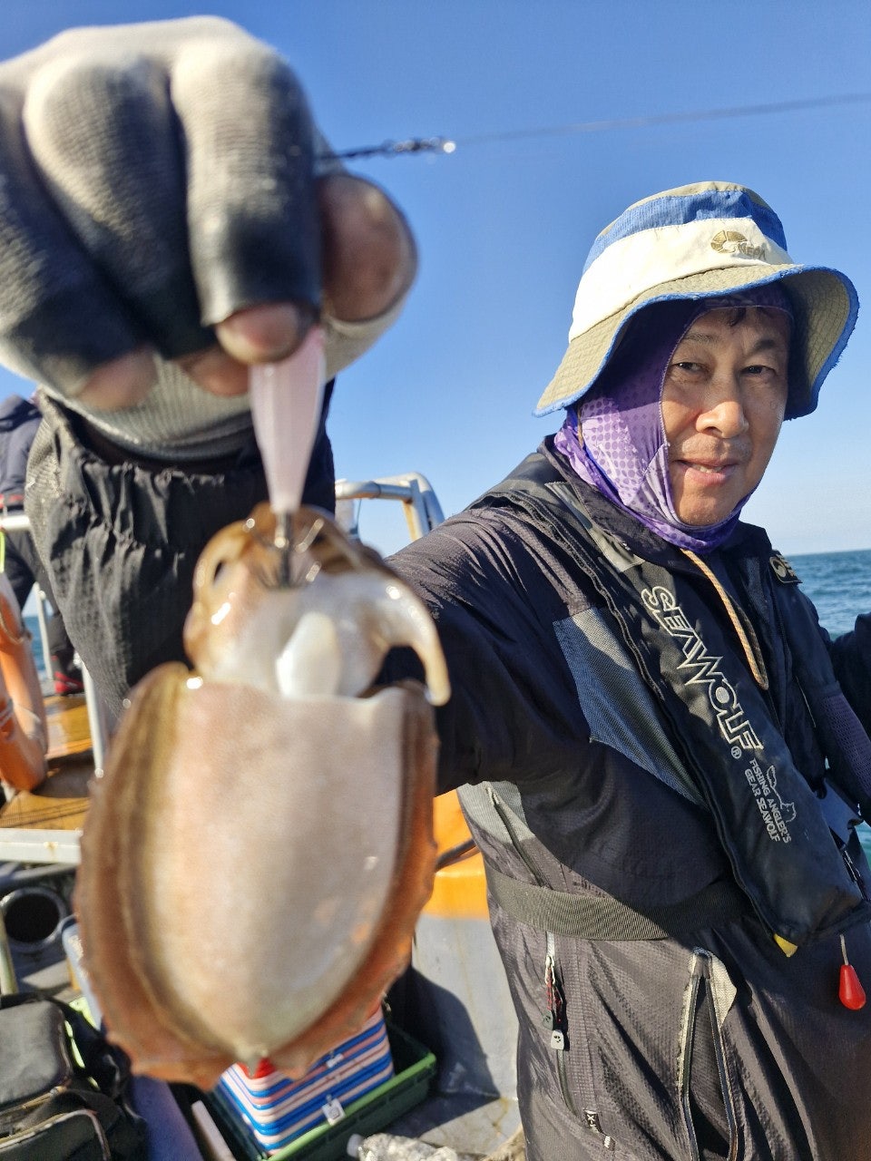 사용자가 올린 이미지