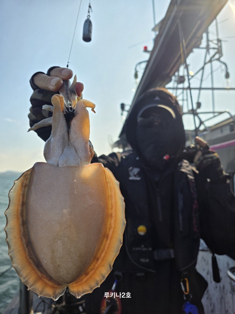 사용자가 올린 이미지