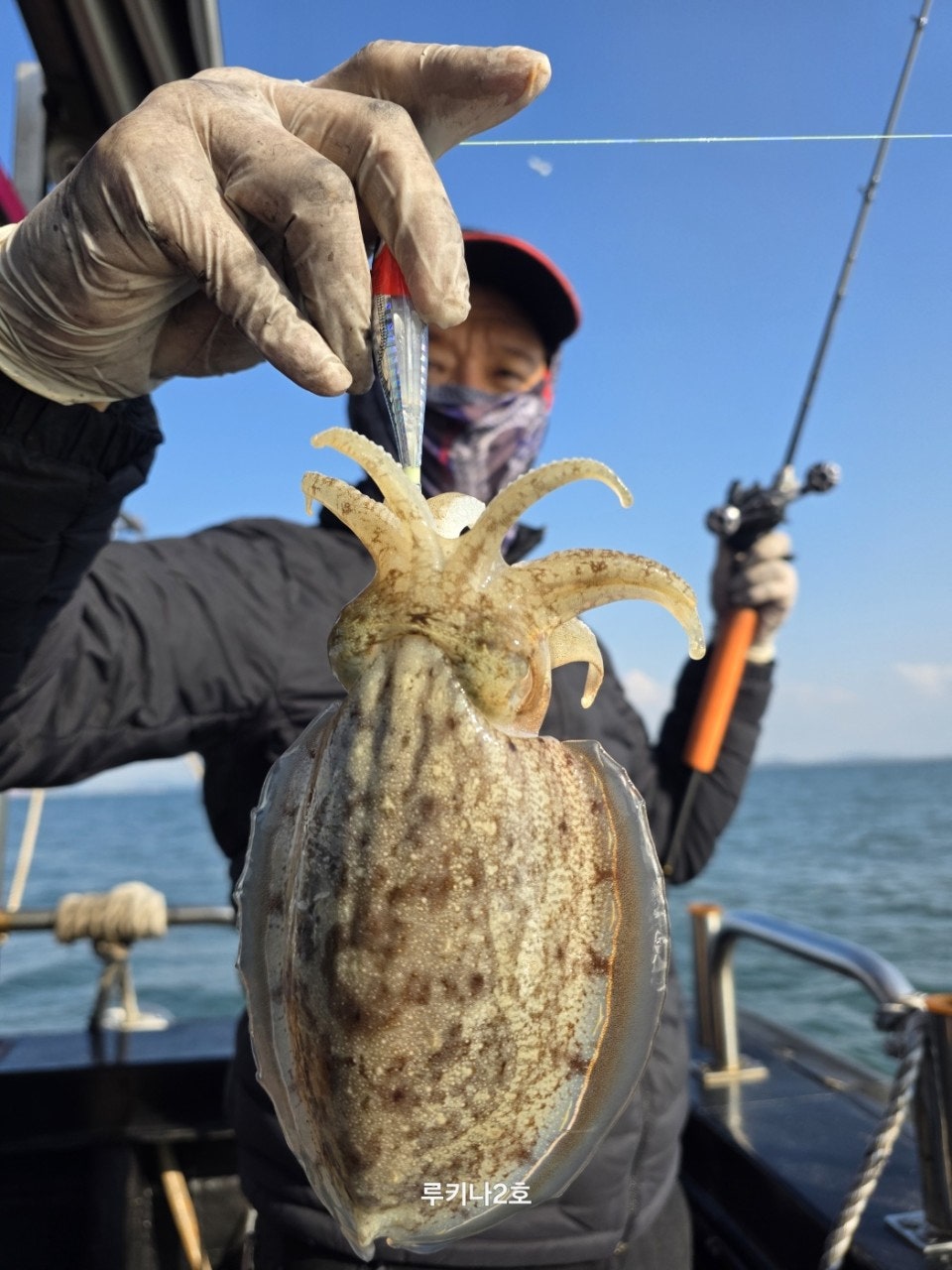 사용자가 올린 이미지