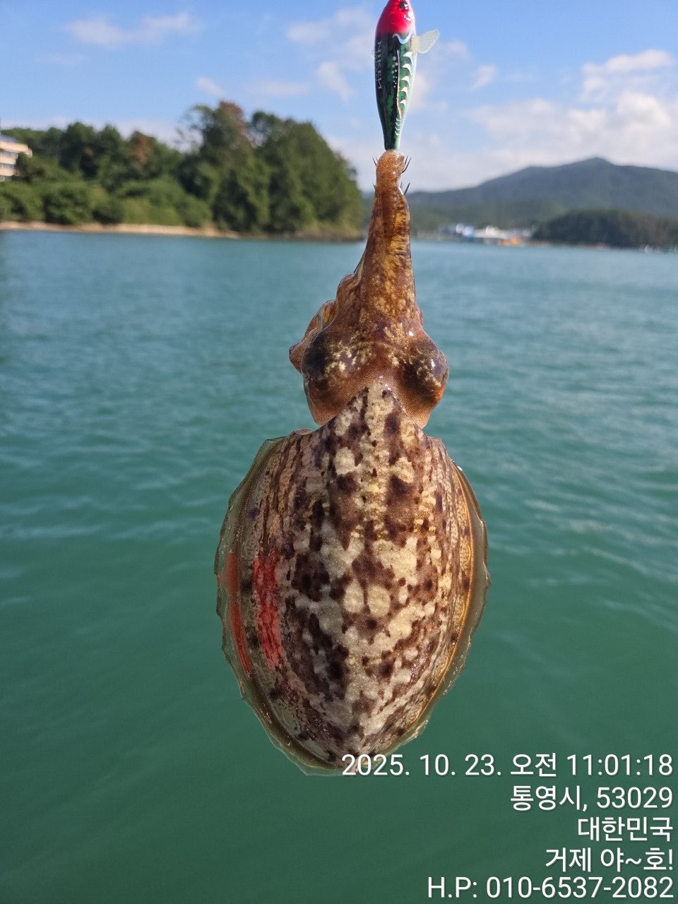 사용자가 올린 이미지