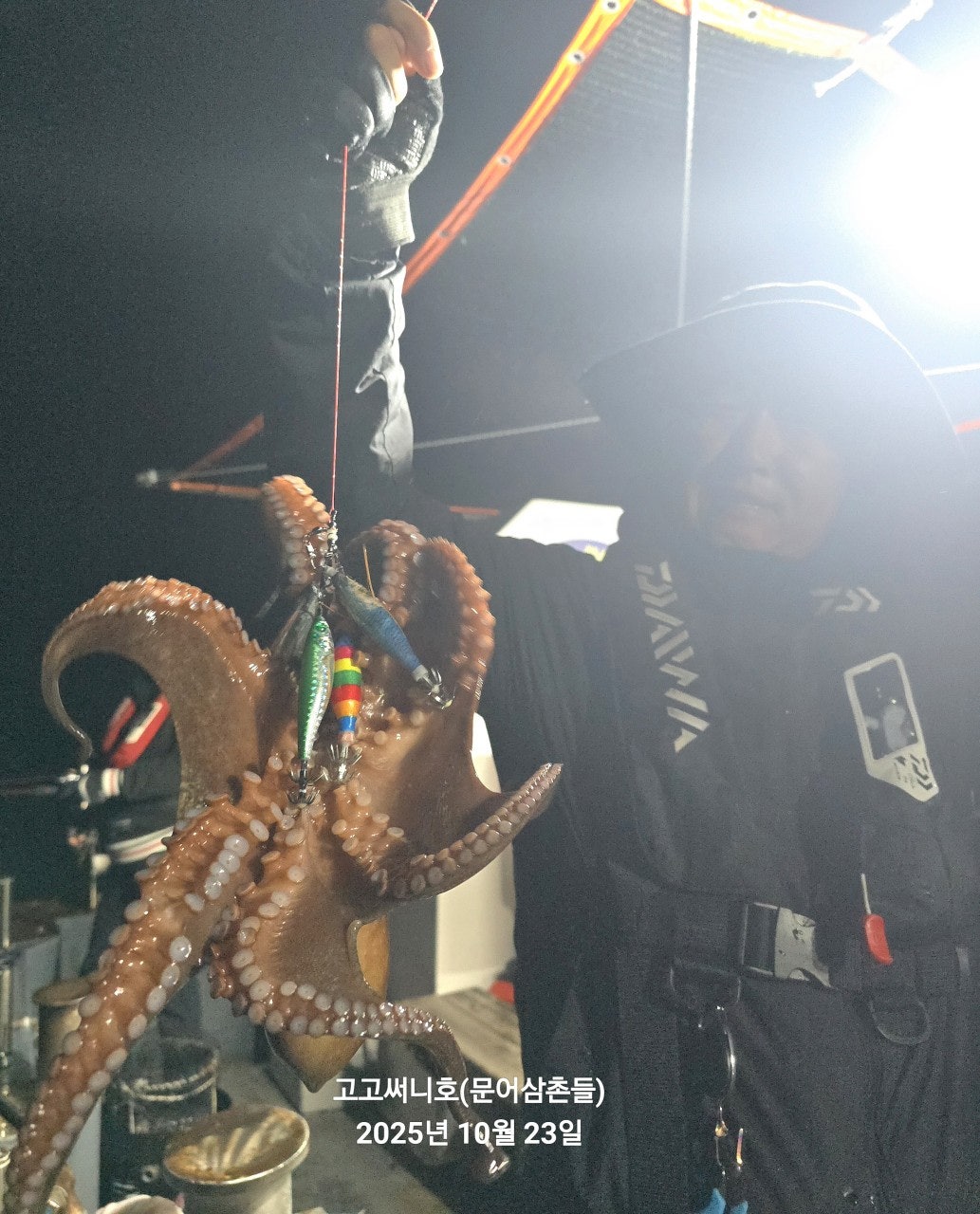 사용자가 올린 이미지