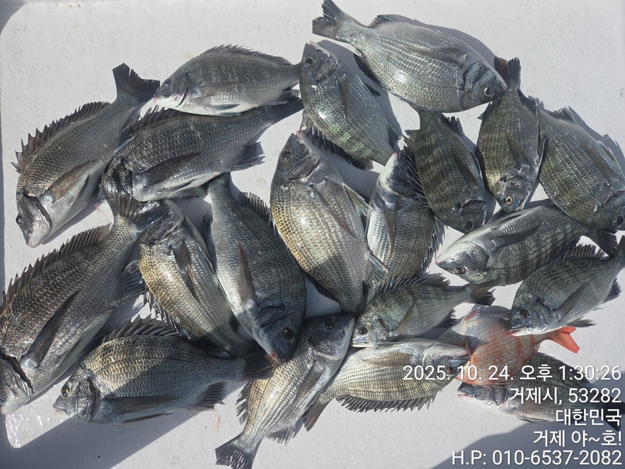 사용자가 올린 이미지