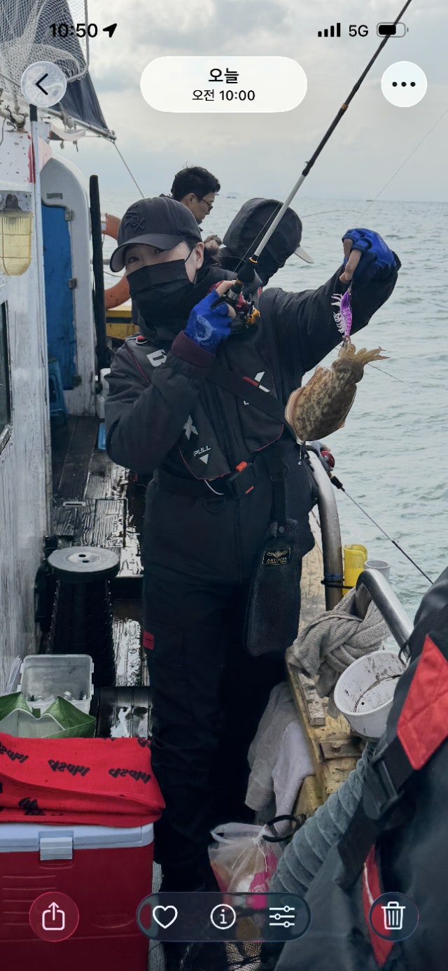 사용자가 올린 이미지