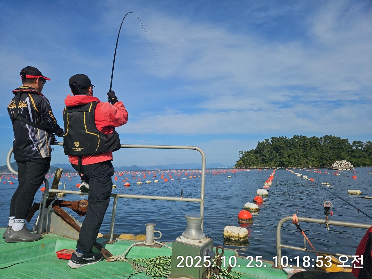 사용자가 올린 이미지