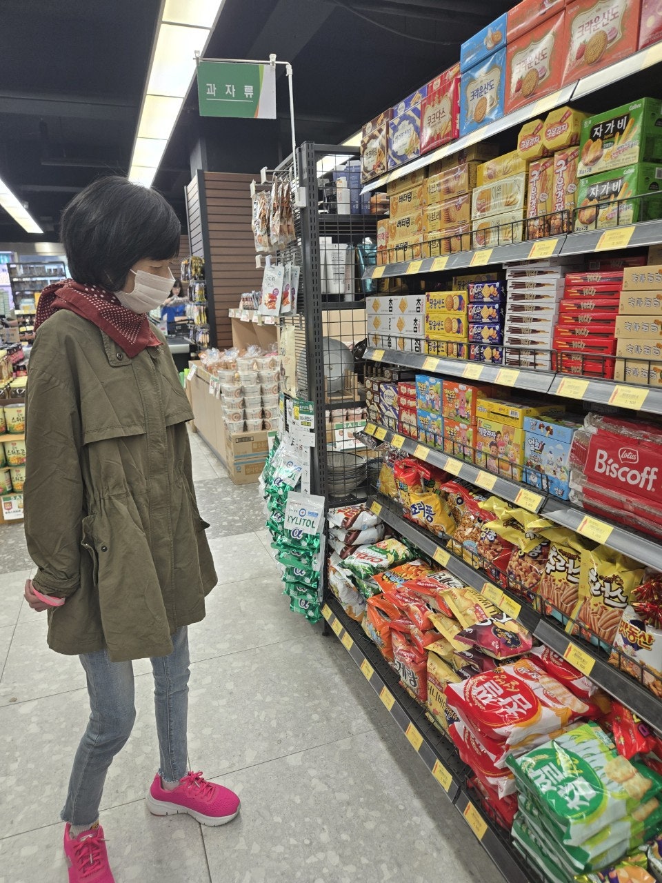 사용자가 올린 이미지