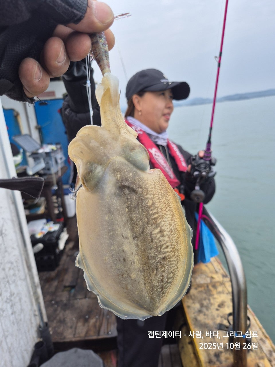 사용자가 올린 이미지