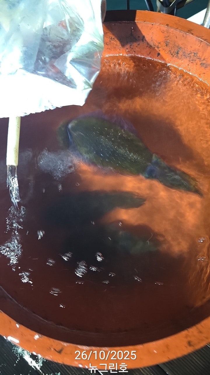 사용자가 올린 이미지