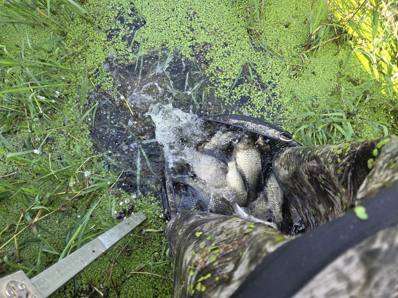 사용자가 올린 이미지