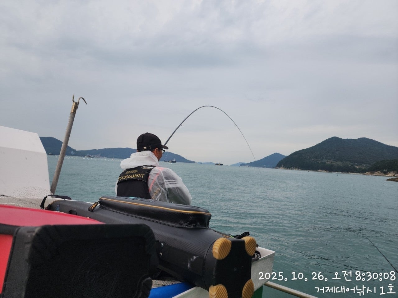 사용자가 올린 이미지