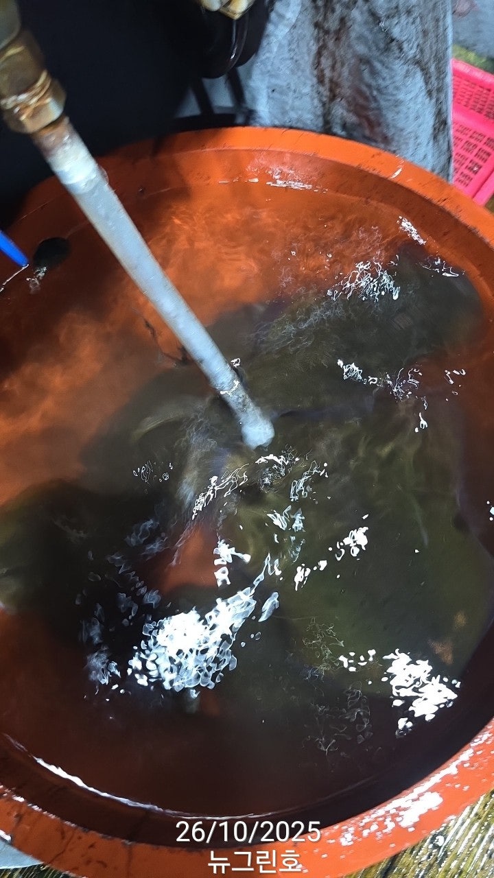 사용자가 올린 이미지