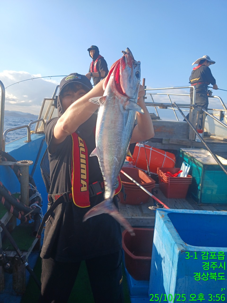 6_779Ud018svcm82khf1rkbn8_9bt2m0.jpg