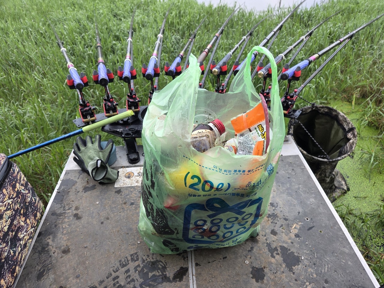 사용자가 올린 이미지