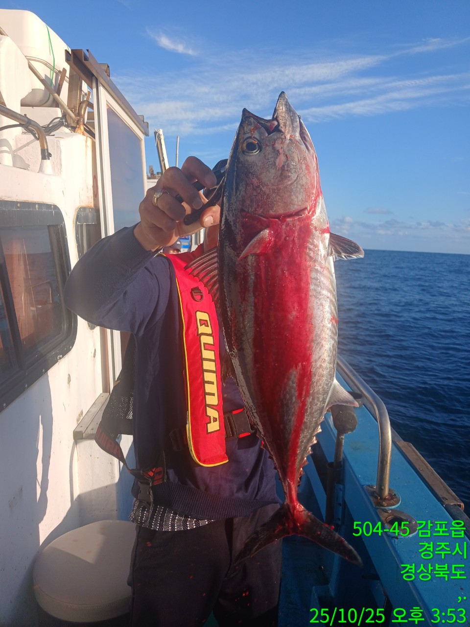 7_579Ud018svculjmfdvbkzvs_9bt2m0.jpg