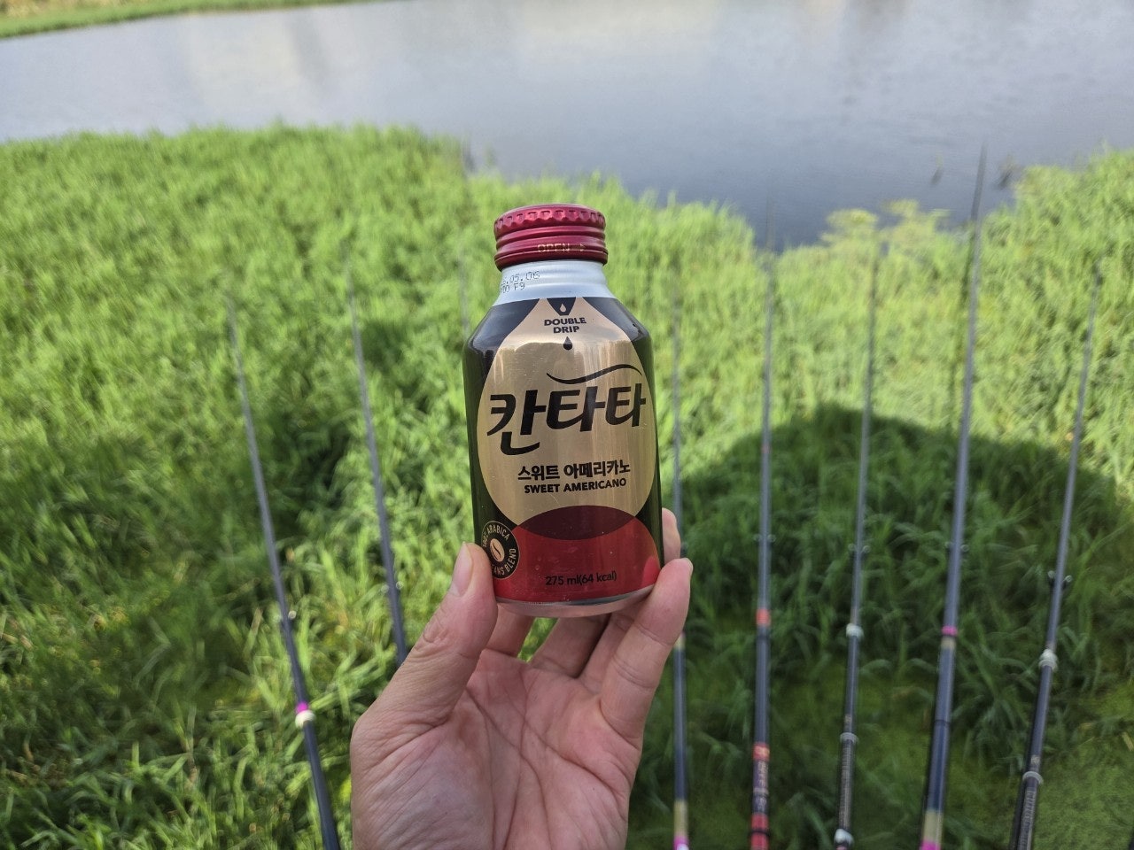 사용자가 올린 이미지