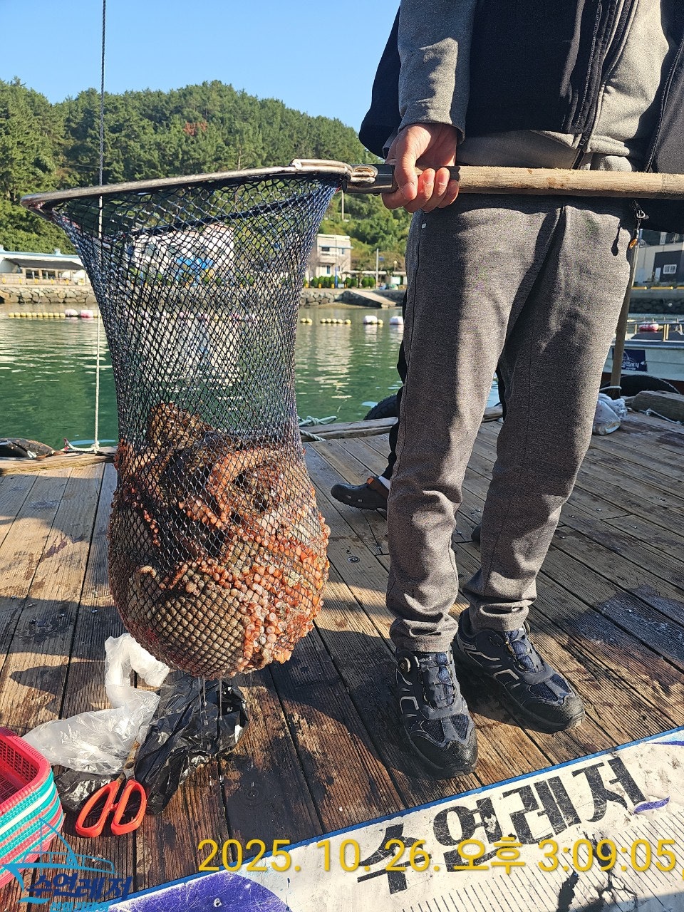 사용자가 올린 이미지