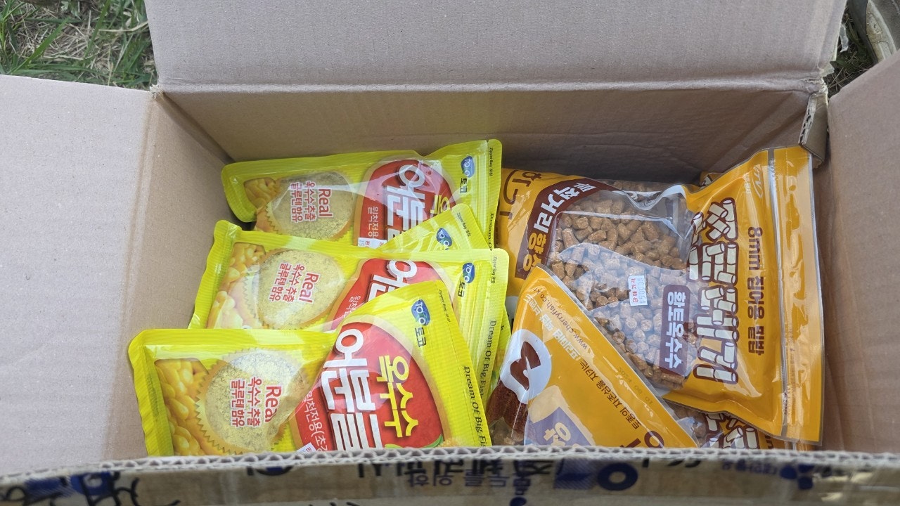 사용자가 올린 이미지