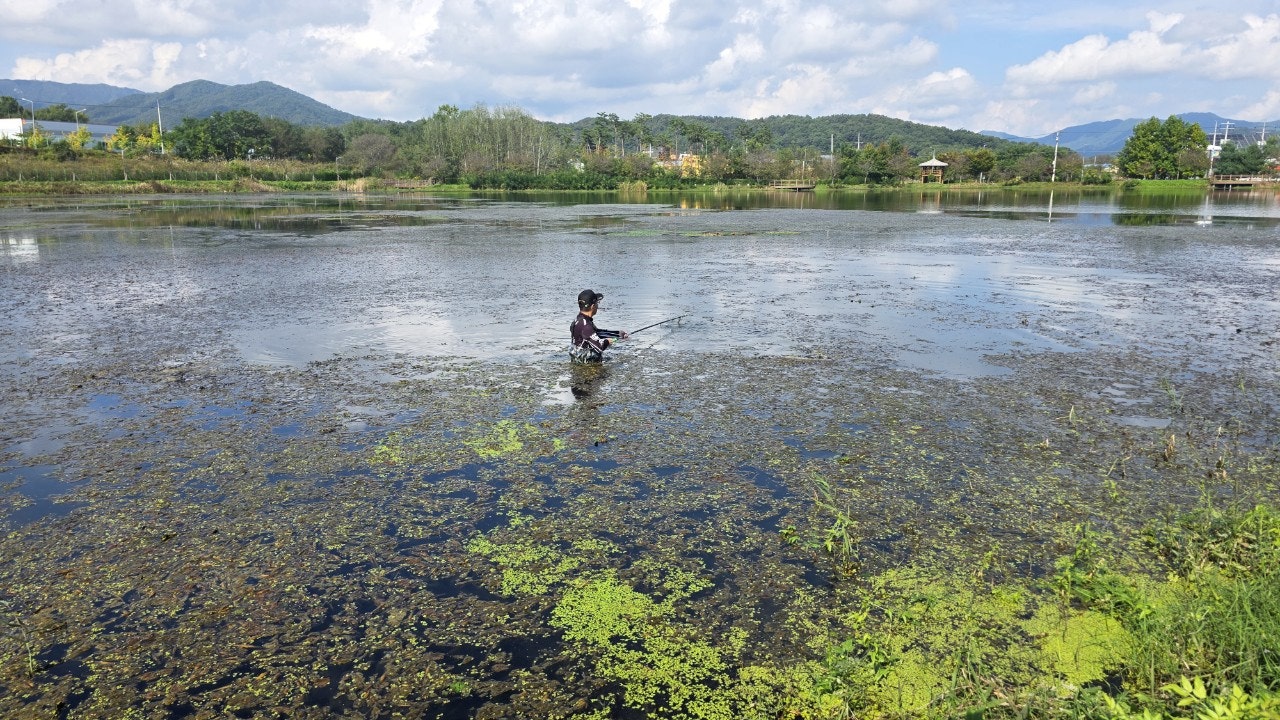 사용자가 올린 이미지