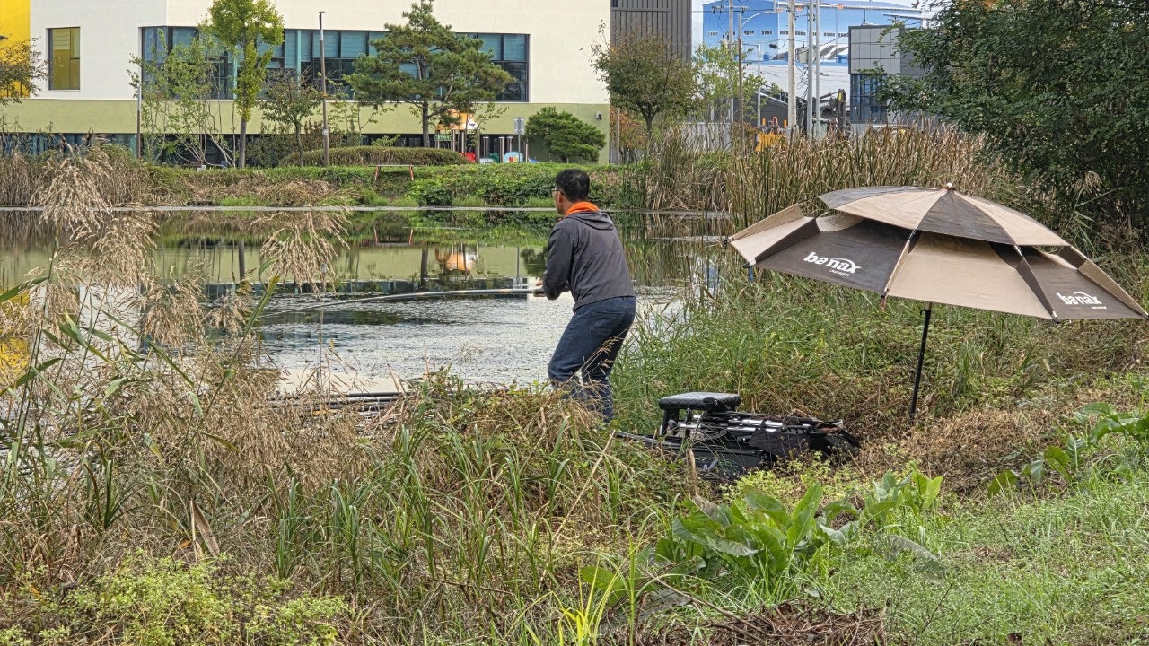 사용자가 올린 이미지