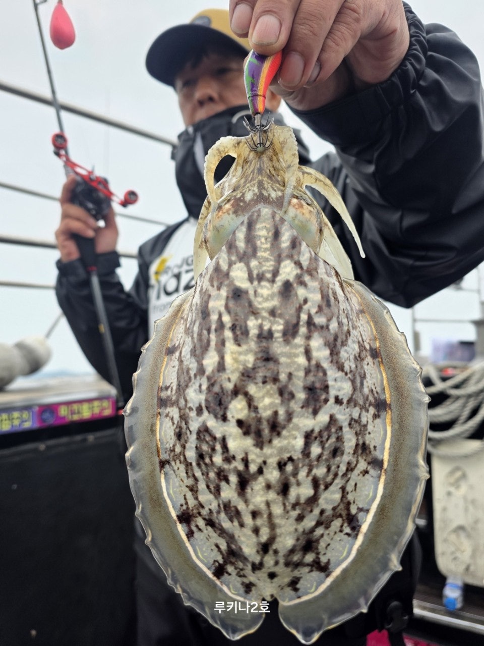 사용자가 올린 이미지