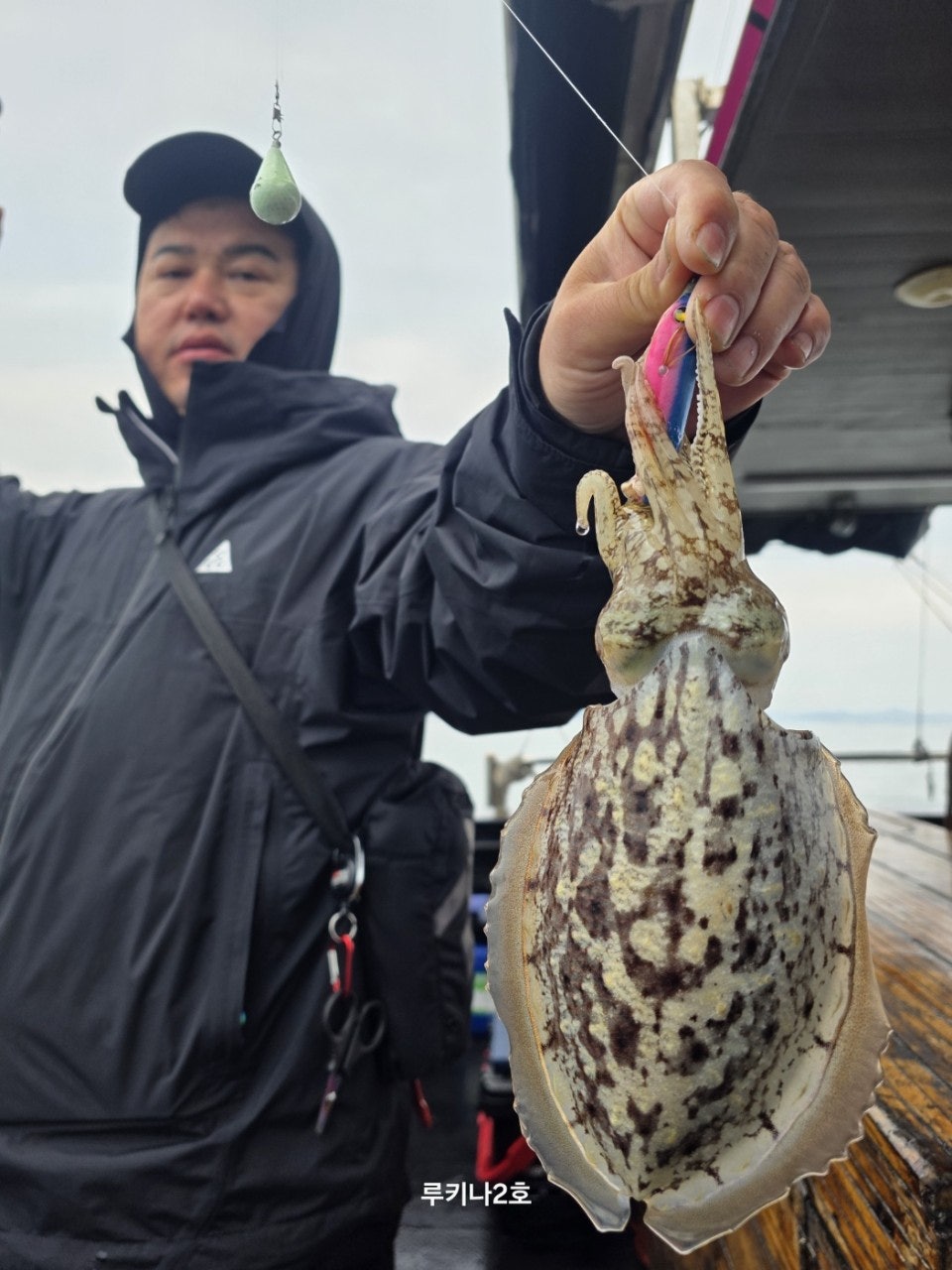 사용자가 올린 이미지