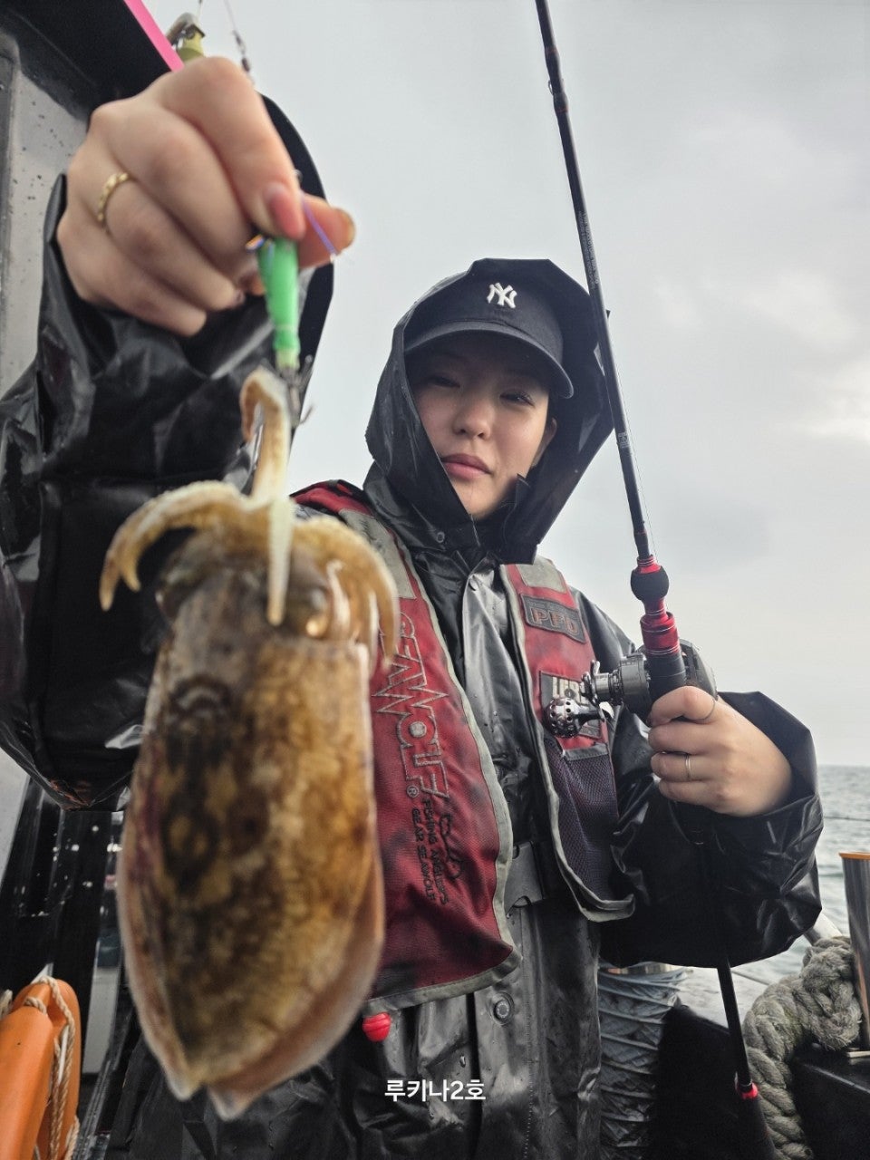 사용자가 올린 이미지