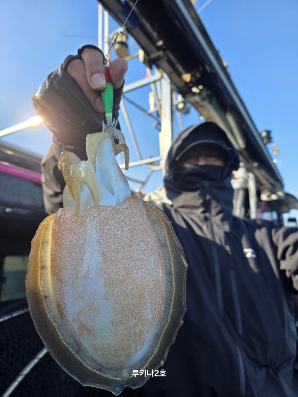 사용자가 올린 이미지