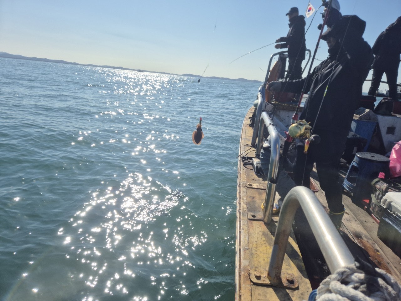 사용자가 올린 이미지