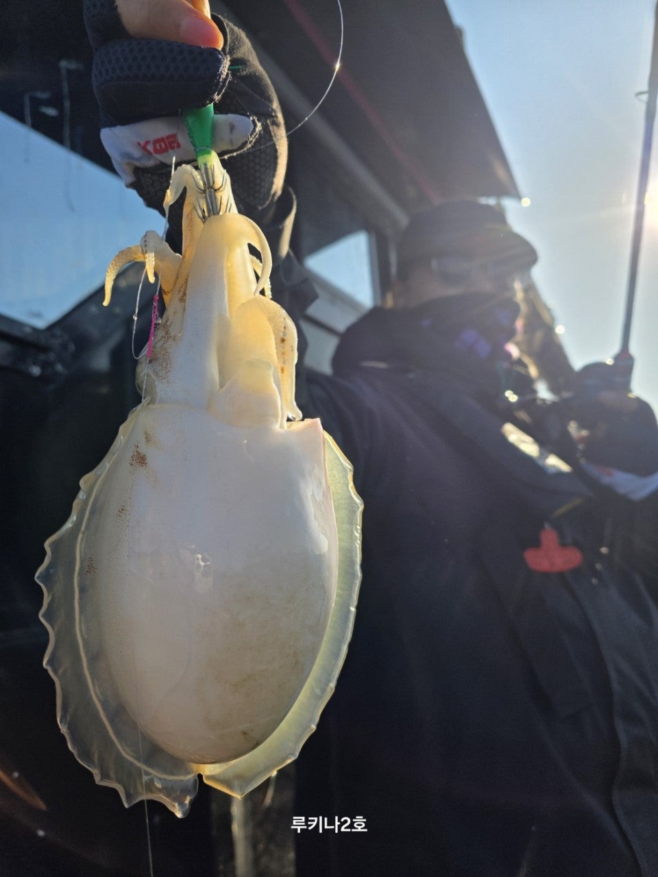 사용자가 올린 이미지