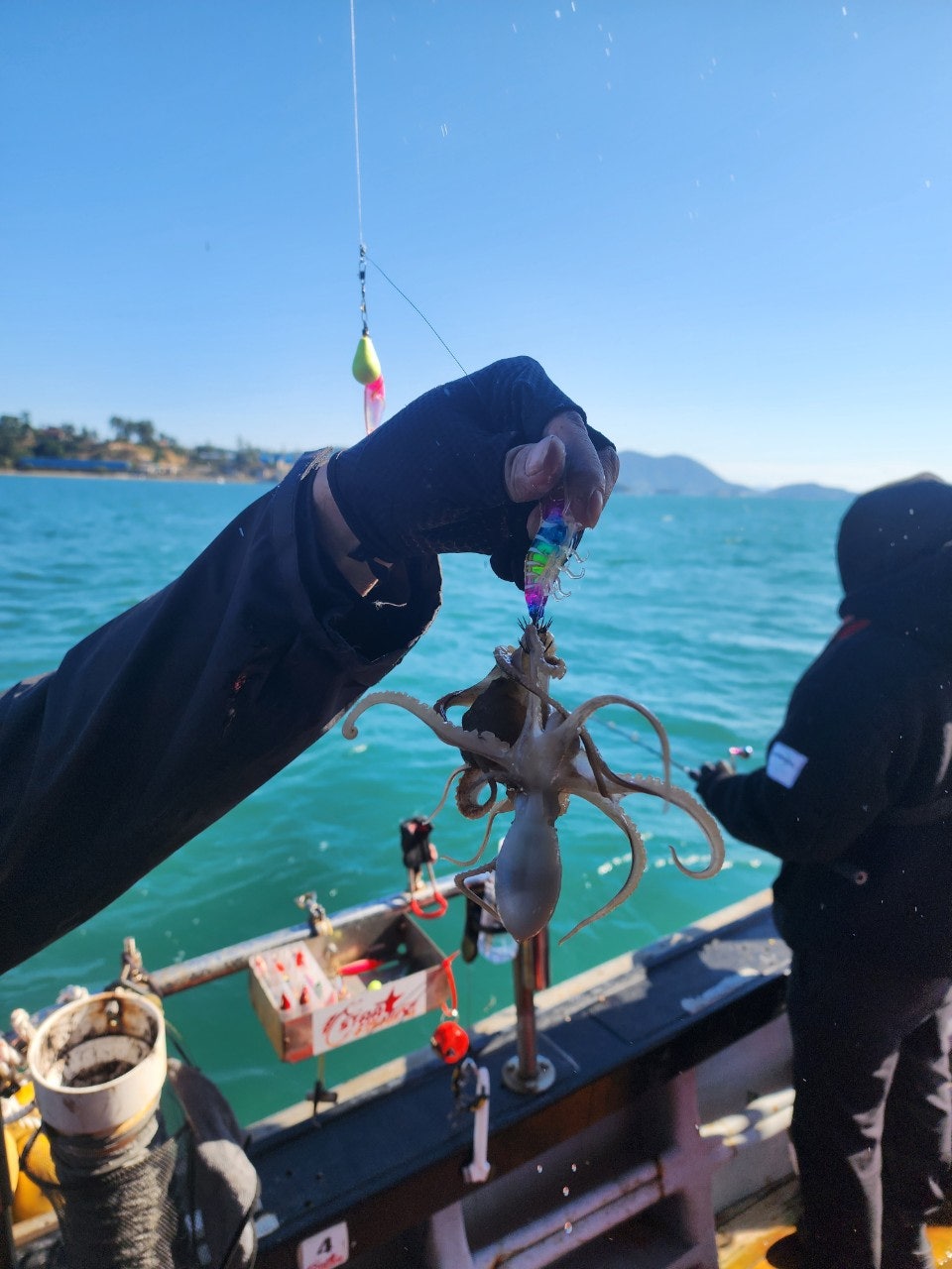 사용자가 올린 이미지