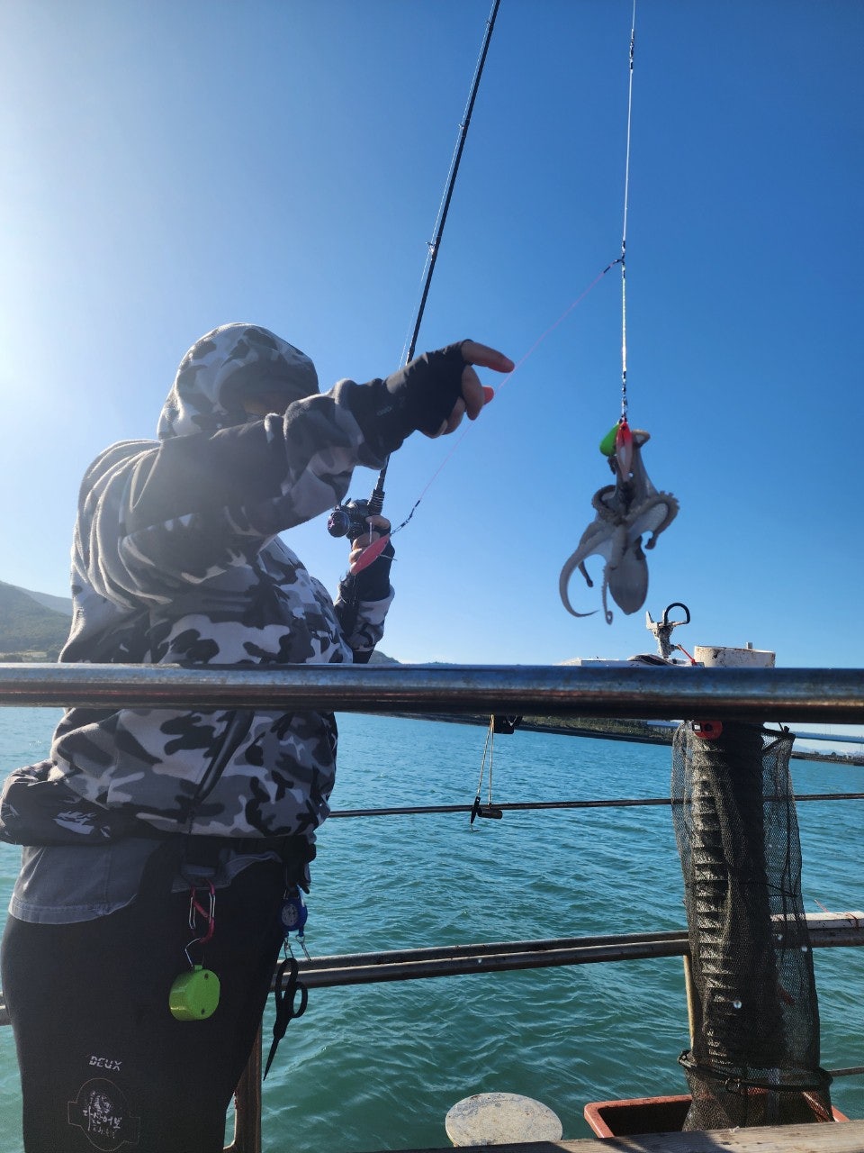 사용자가 올린 이미지