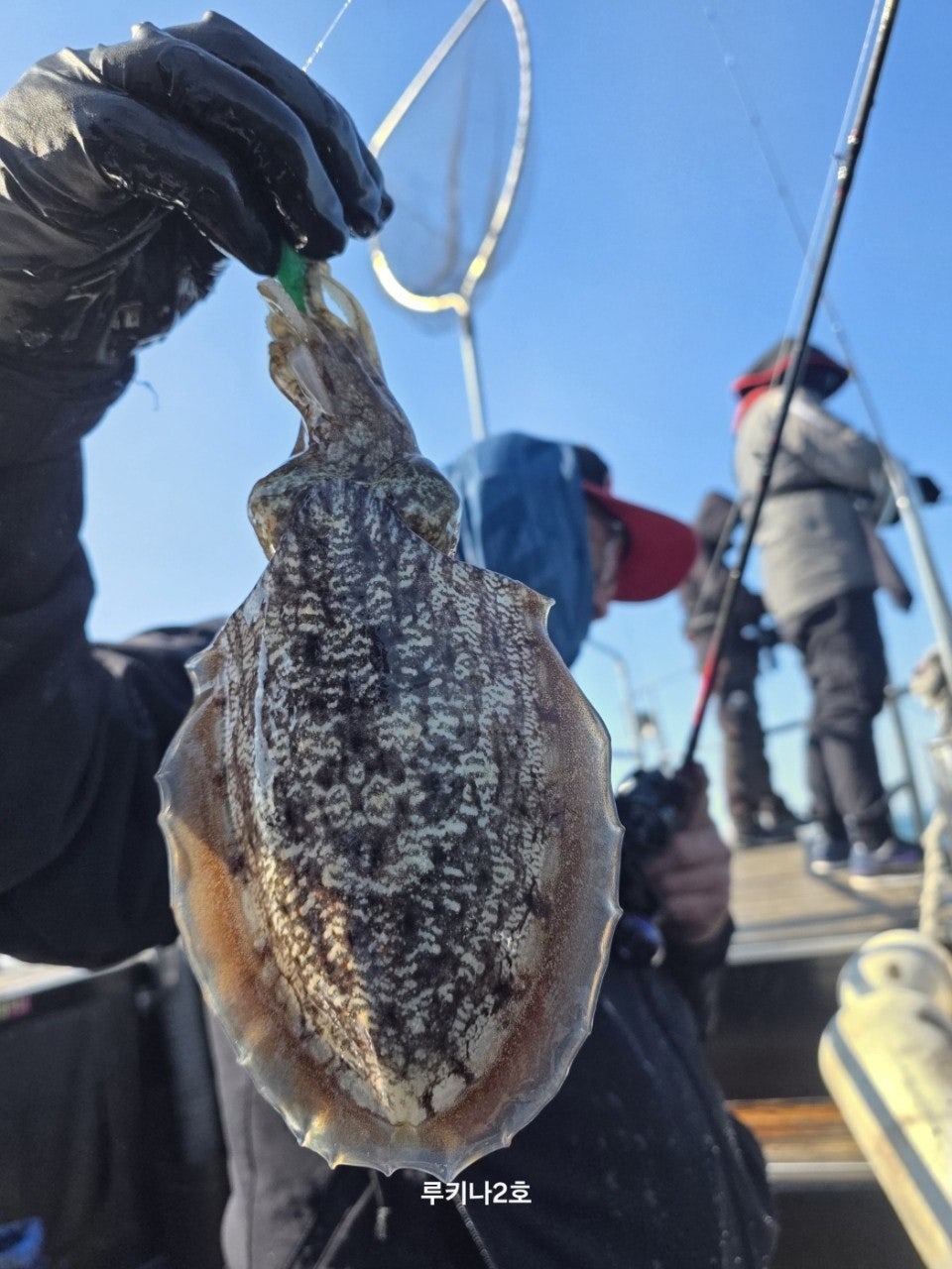 사용자가 올린 이미지