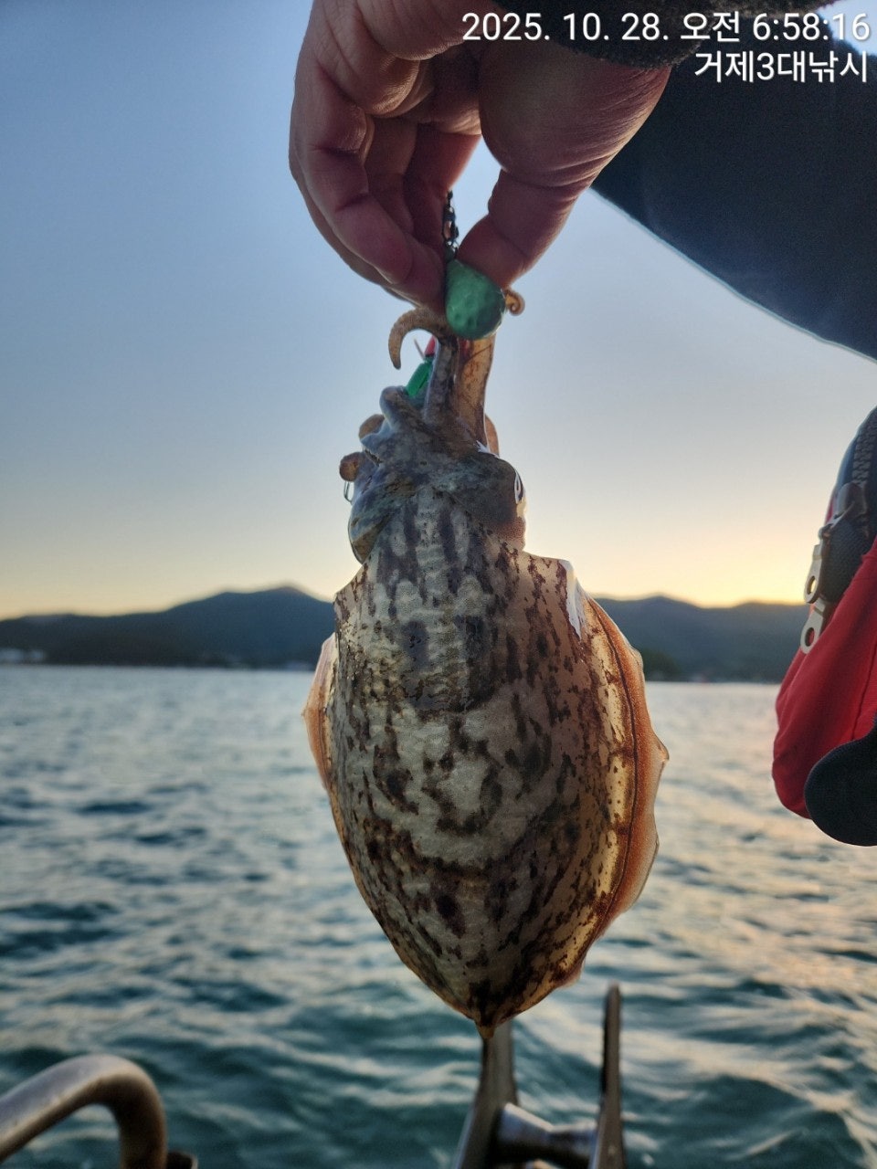 사용자가 올린 이미지