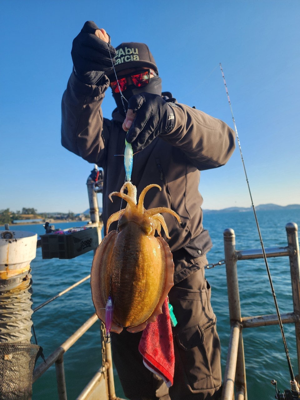 사용자가 올린 이미지