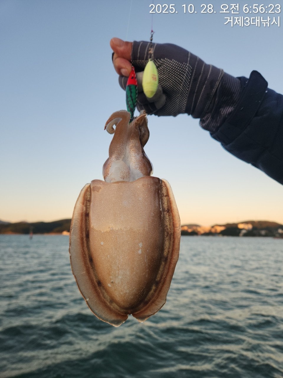 사용자가 올린 이미지