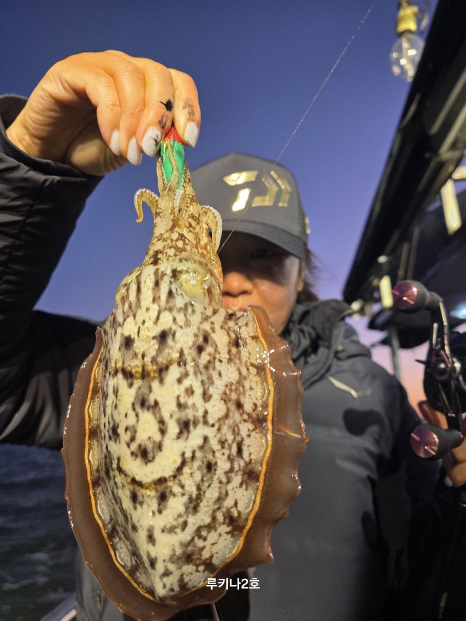 사용자가 올린 이미지