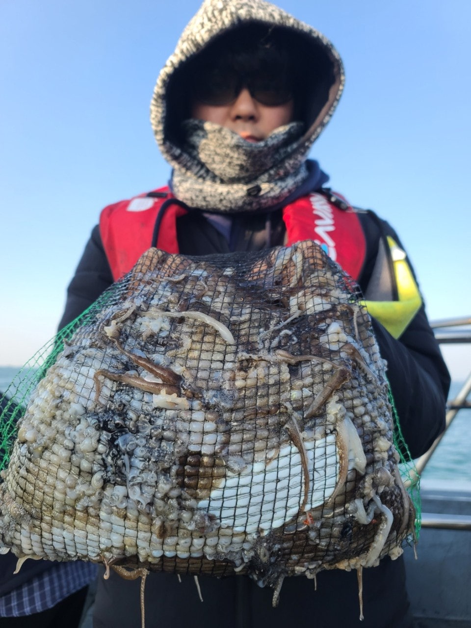 사용자가 올린 이미지