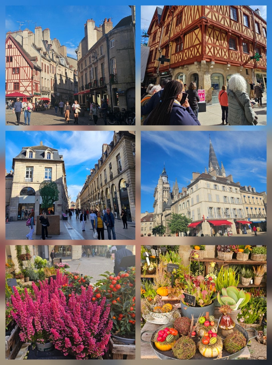 »ç¿ëÀÚ°¡ ¿Ã¸° À̹ÌÁö